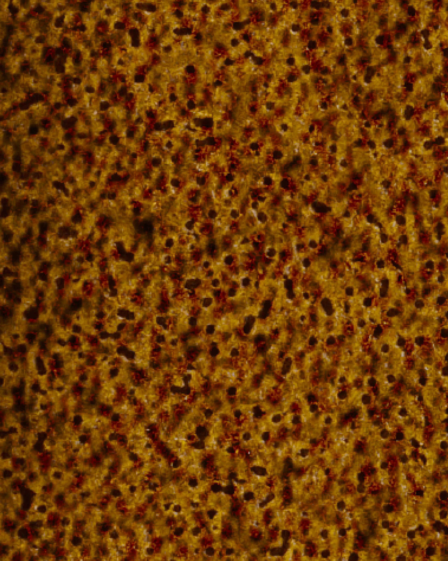 Image du produit 14