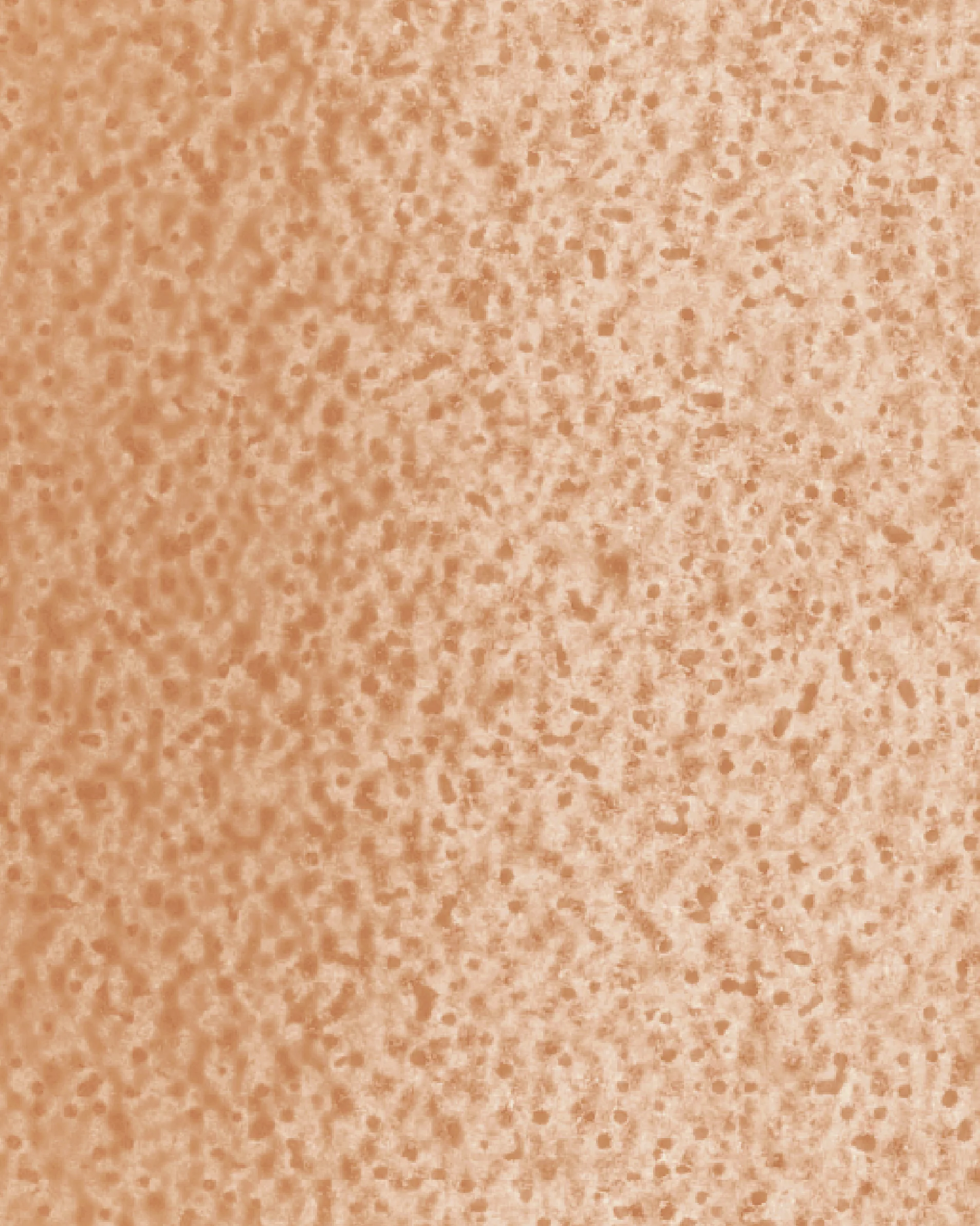 Image du produit 18