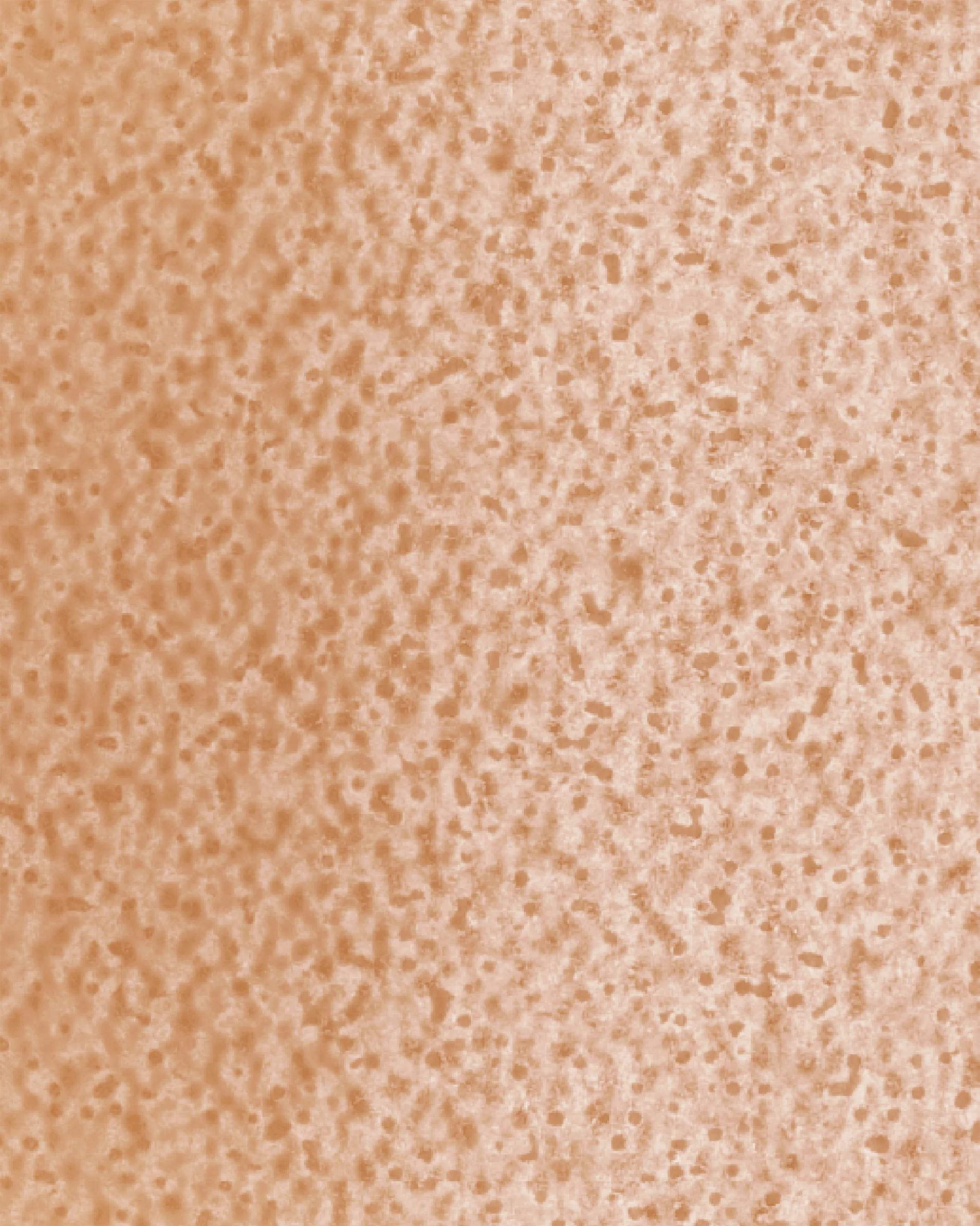 Image du produit 19