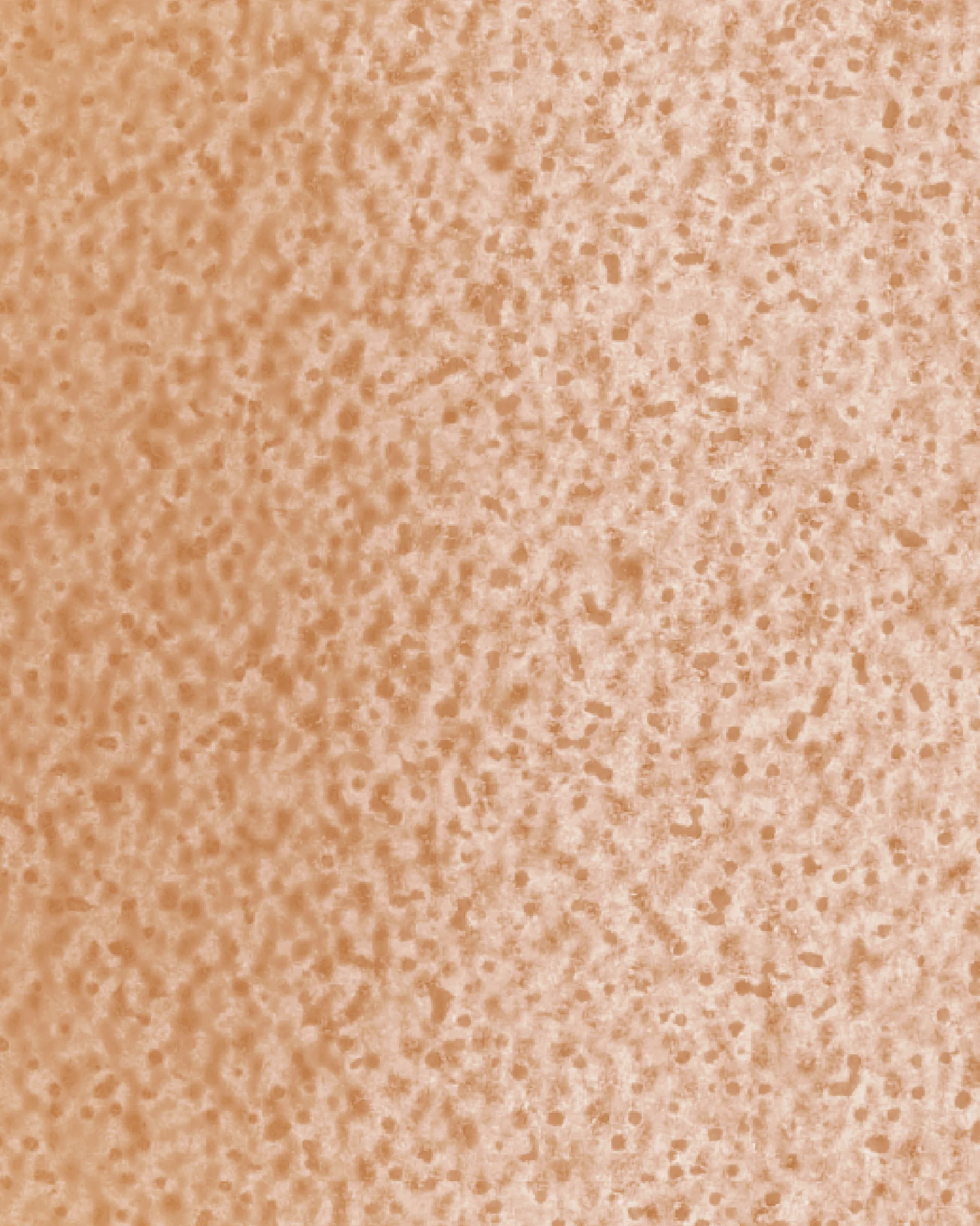 Image du produit 21