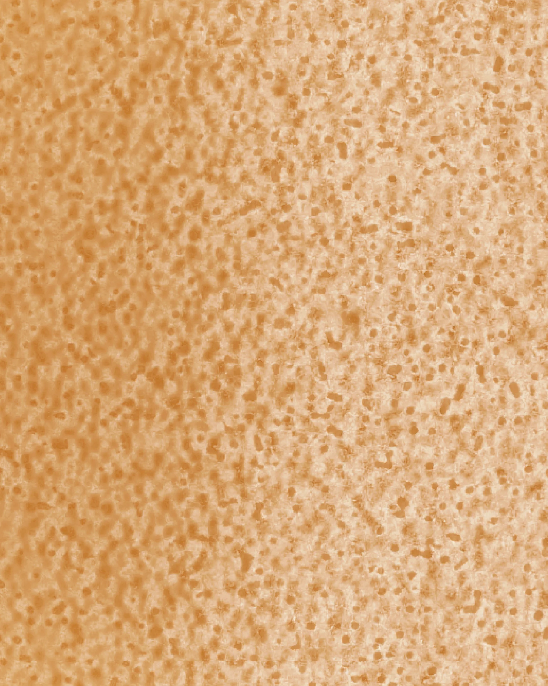 Image du produit 24