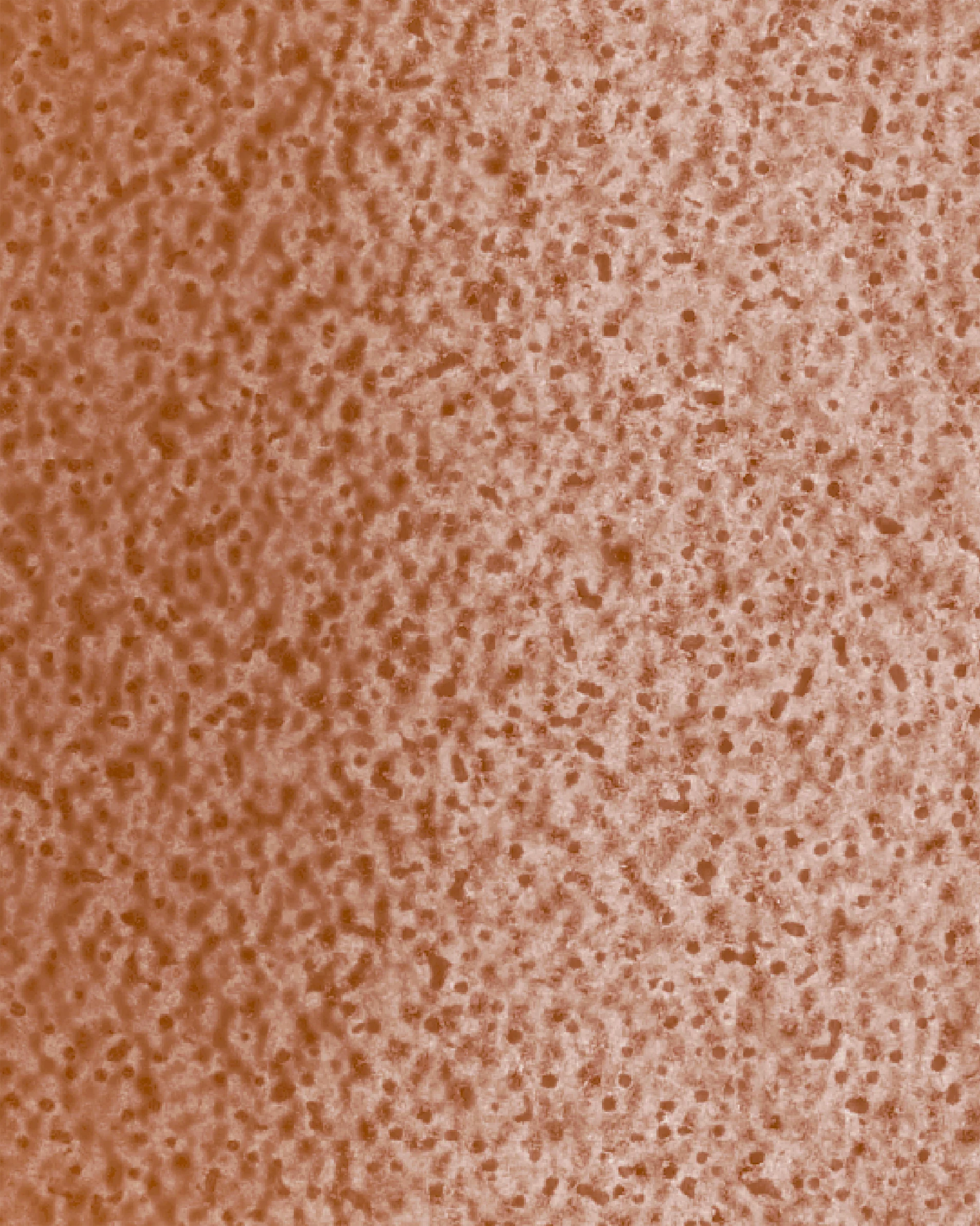Image du produit 26