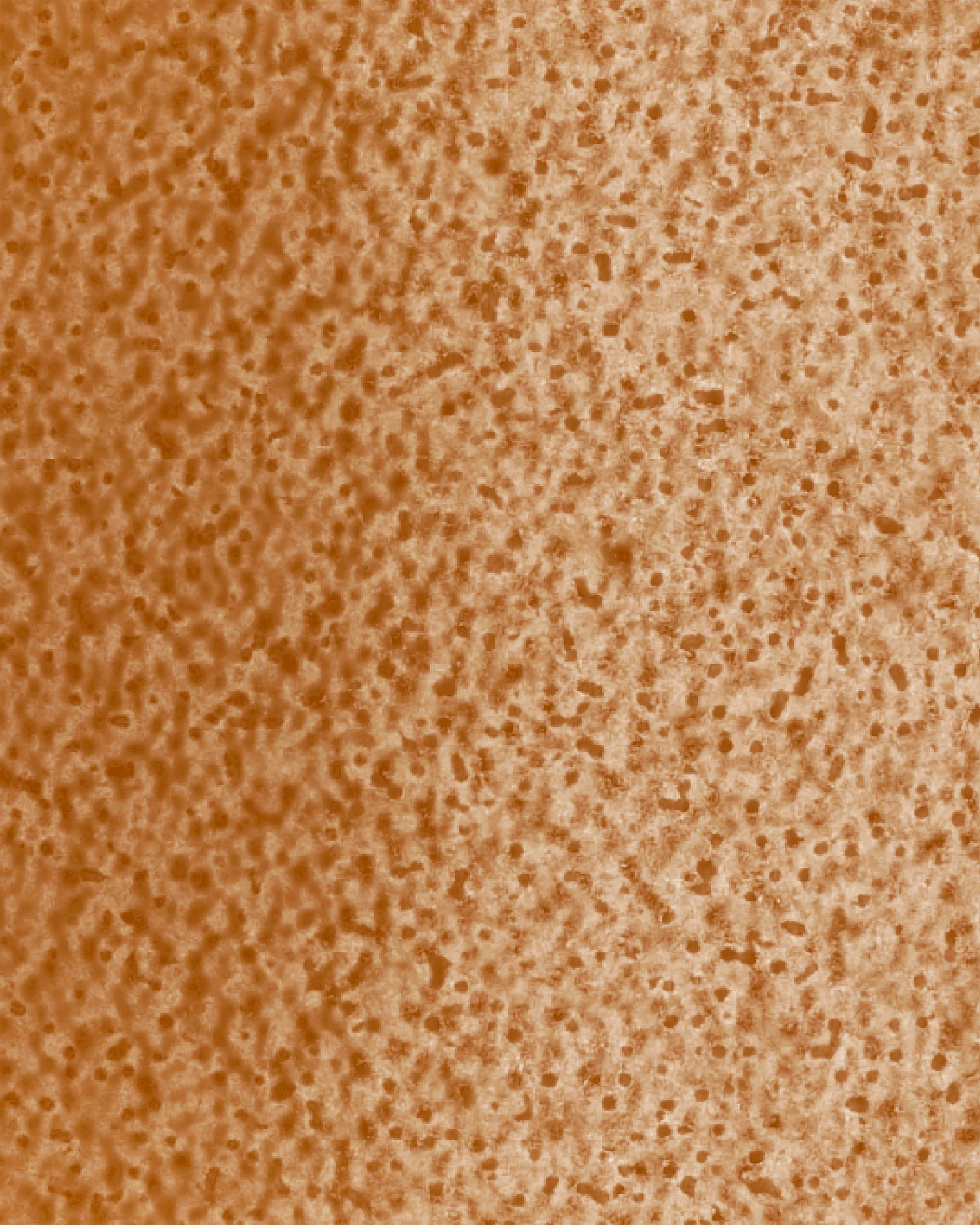 Image du produit 30