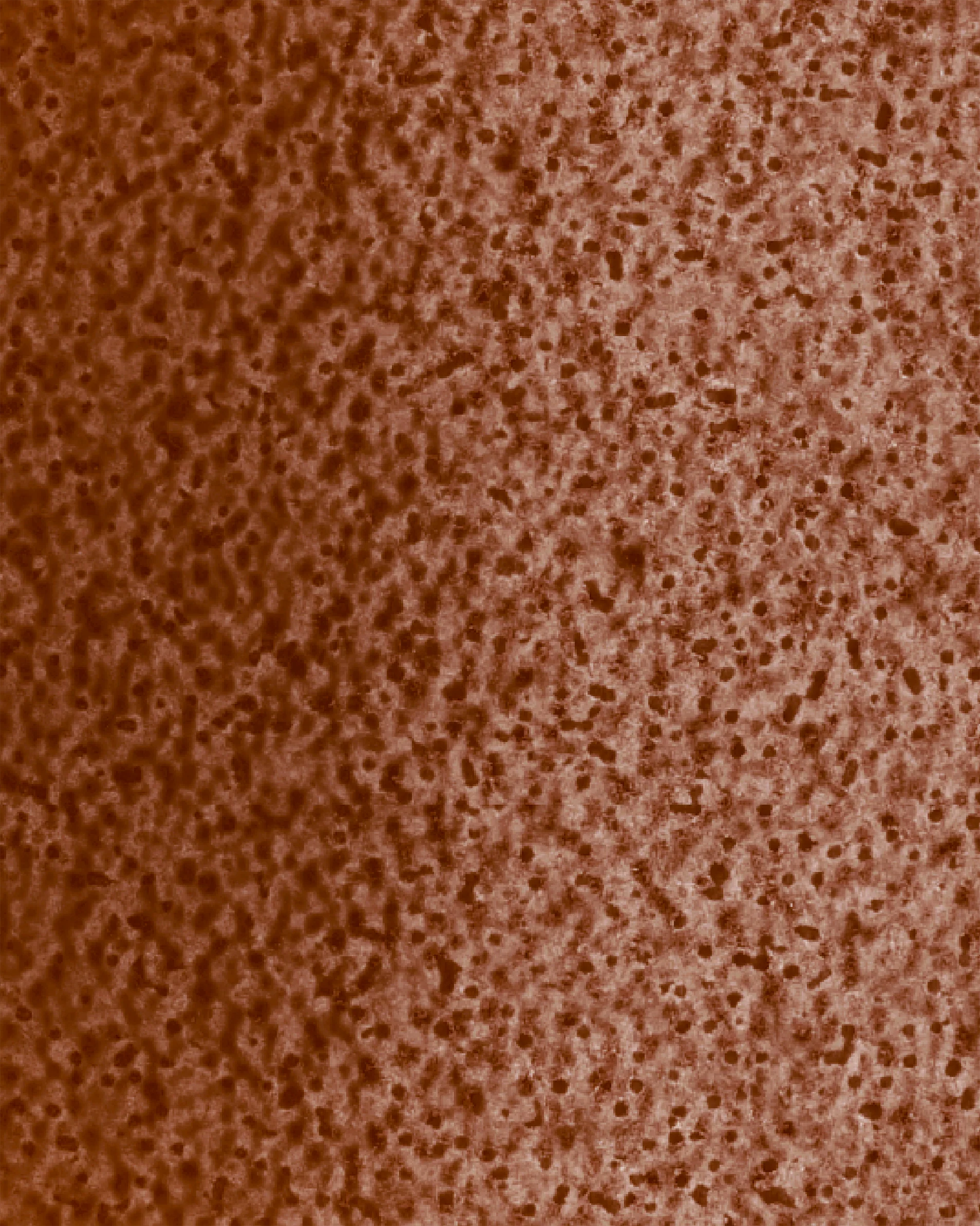 Image du produit 31