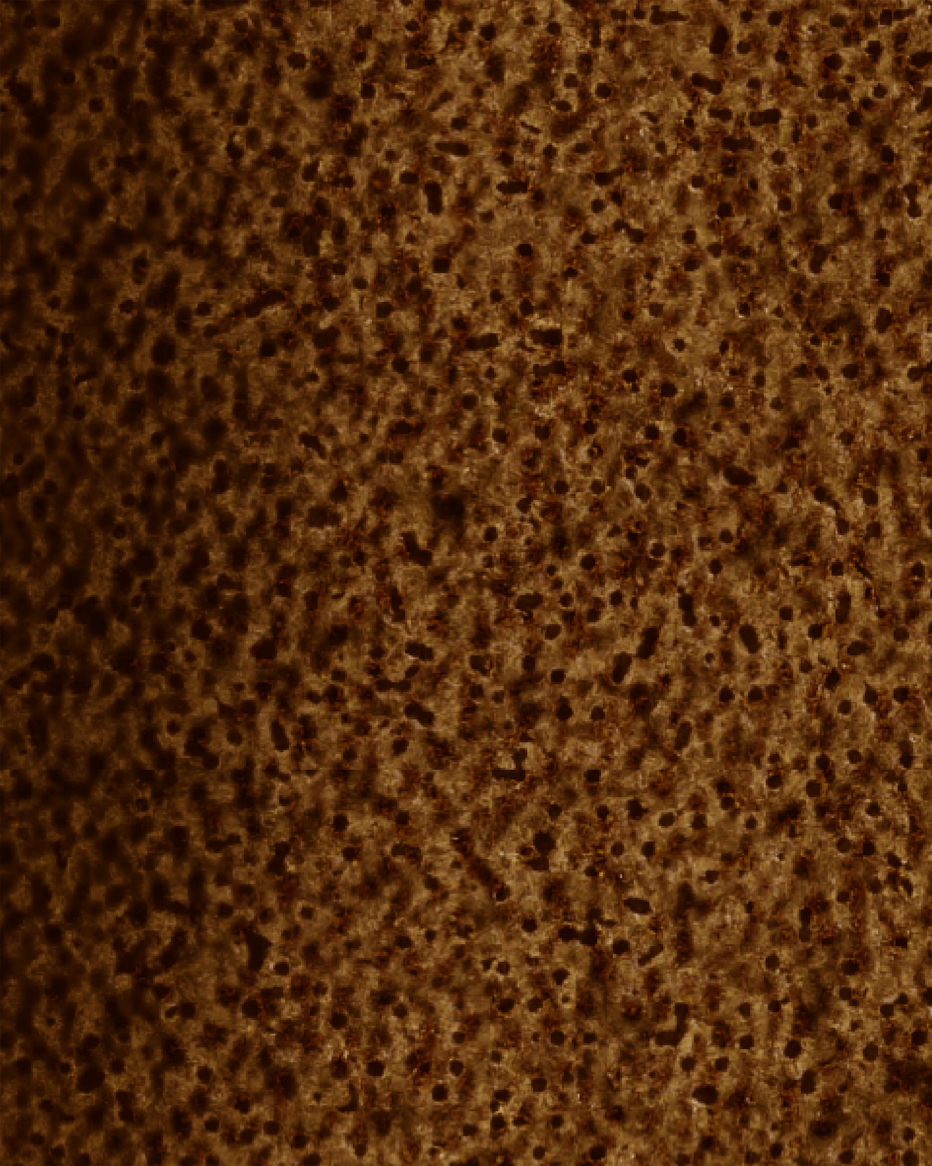 Image du produit 43