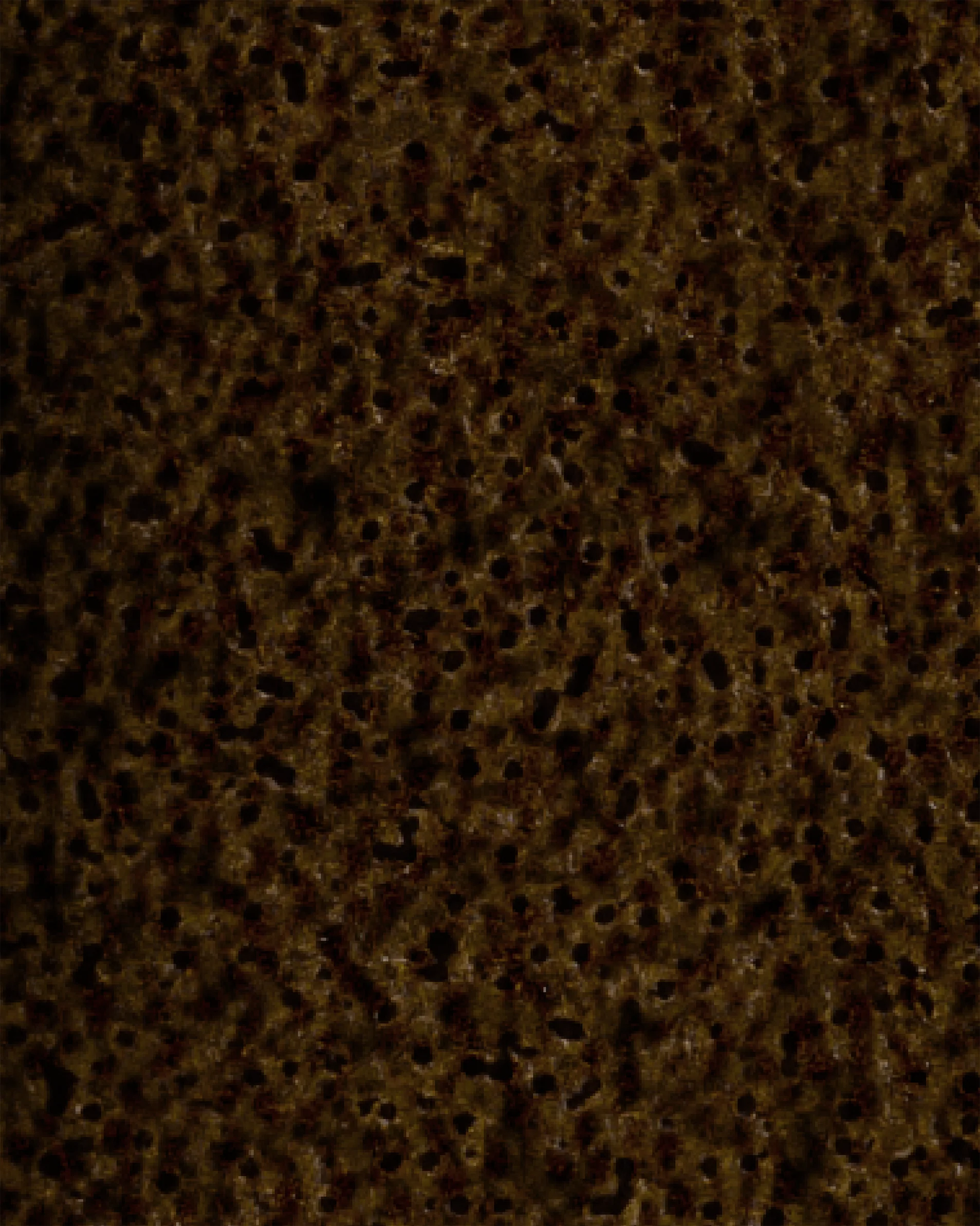 Image du produit 45
