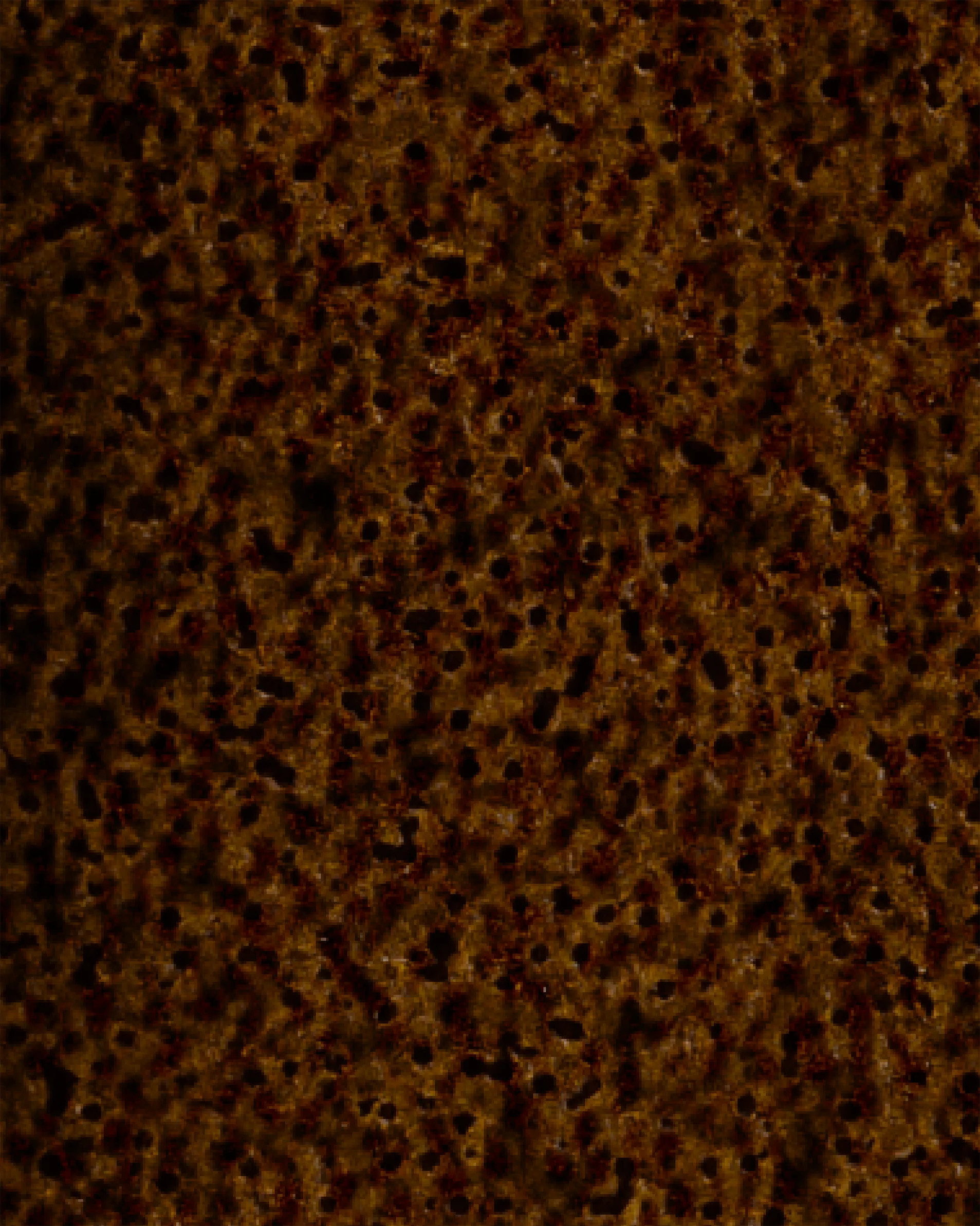 Image du produit 47