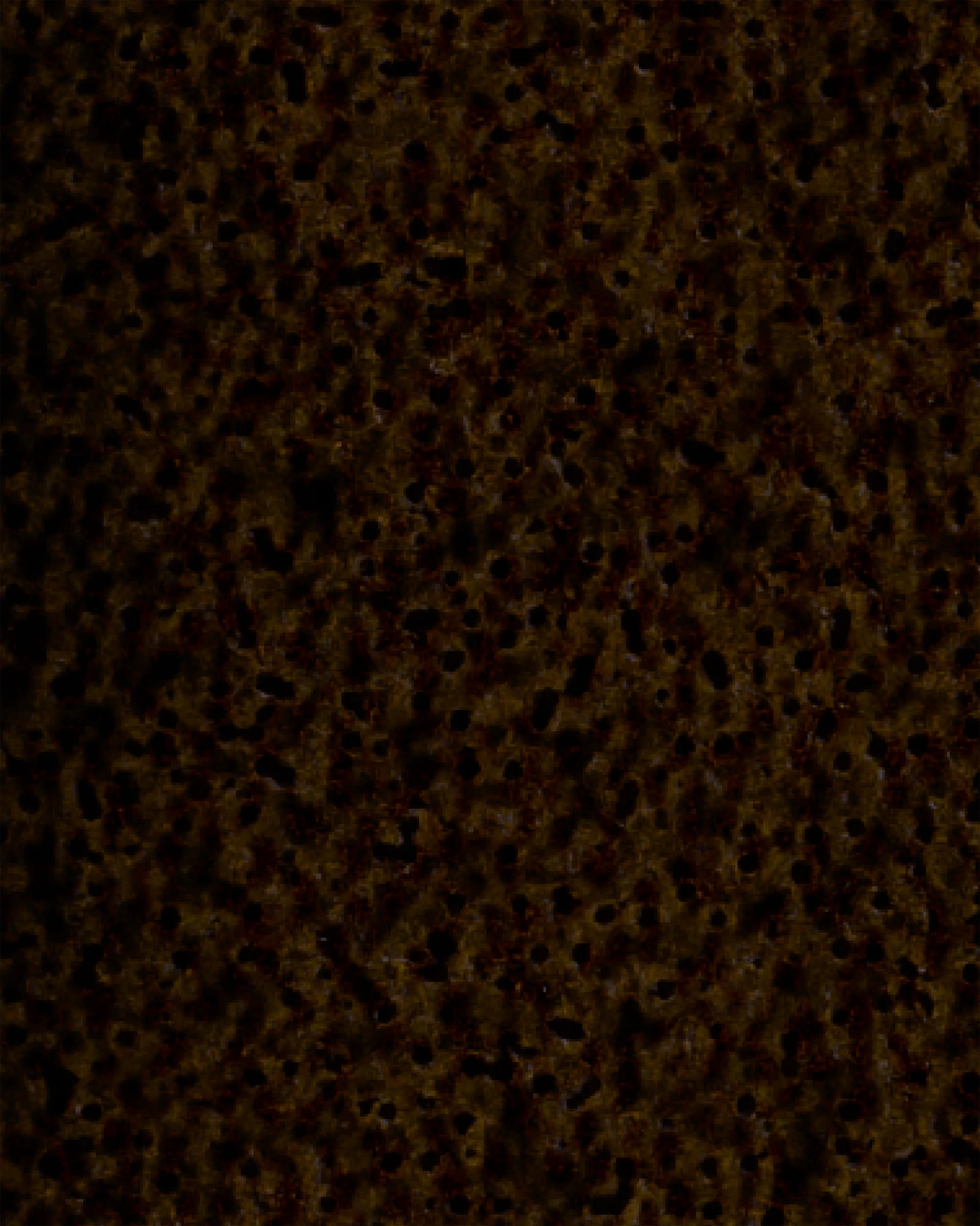 Image du produit 48