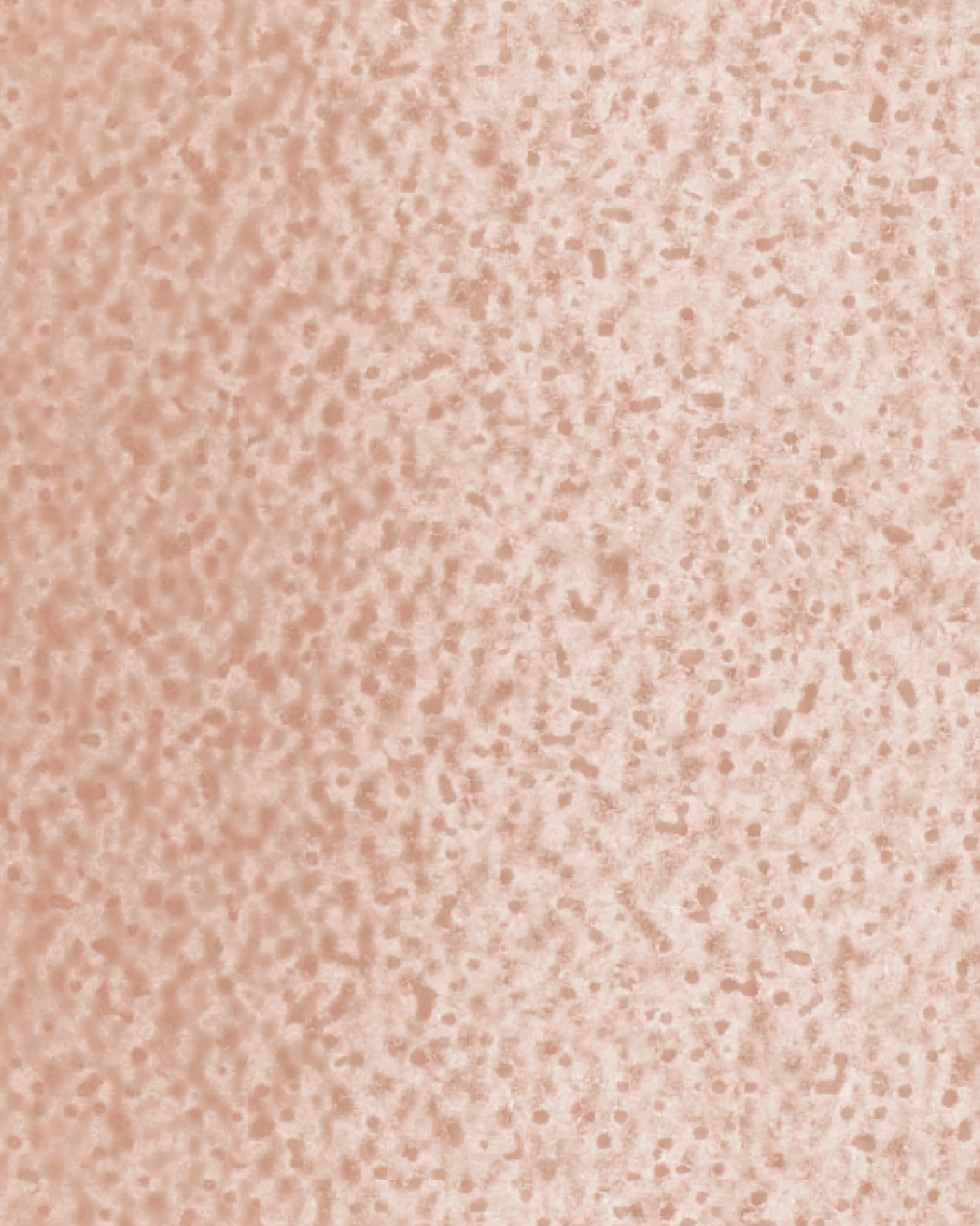 Image du produit 53