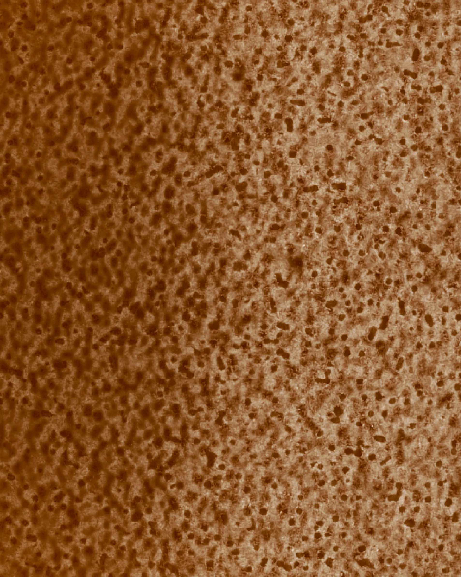 Image du produit 55